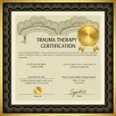 Trauma Therapy Certification